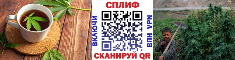 Cannafood марихуана Королёв