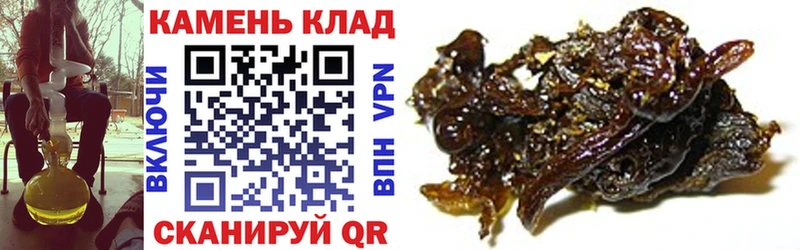 Гашиш Cannabis Королёв