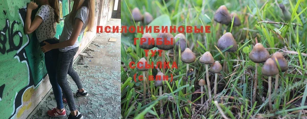 экстази Арсеньев