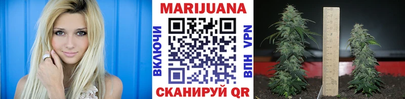 Каннабис планчик  даркнет наркотические препараты  Королёв 
